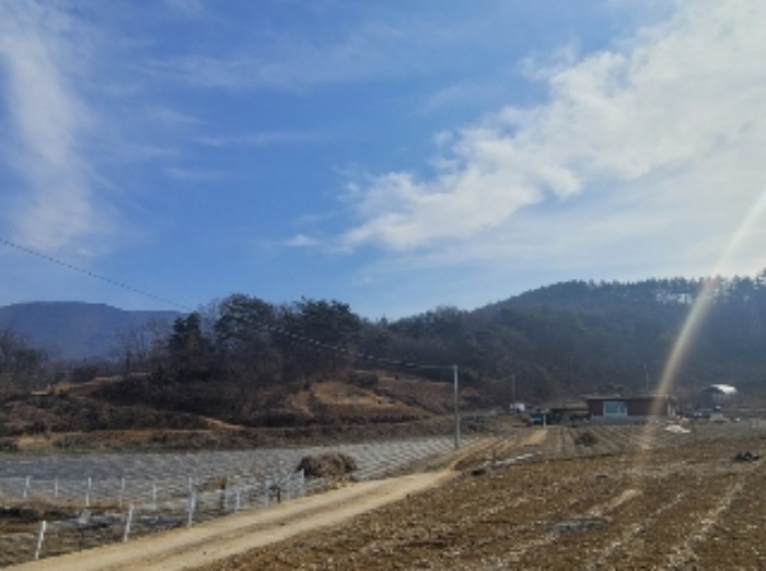 2023타경500[8]