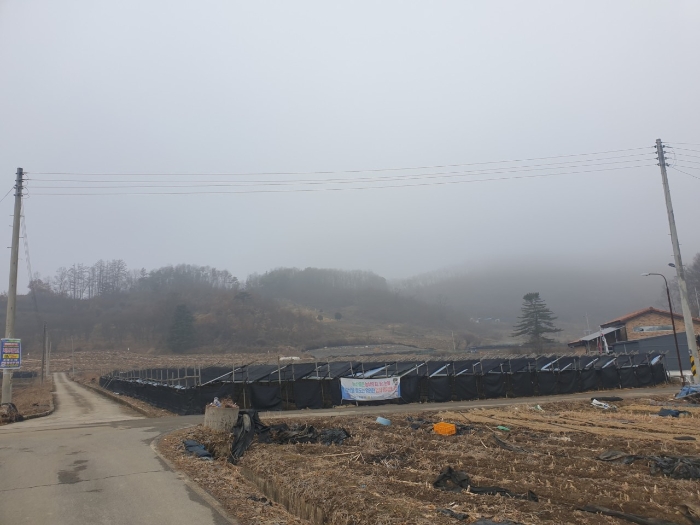 2023타경500[8]