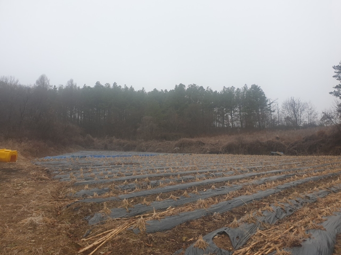 2023타경500[8]