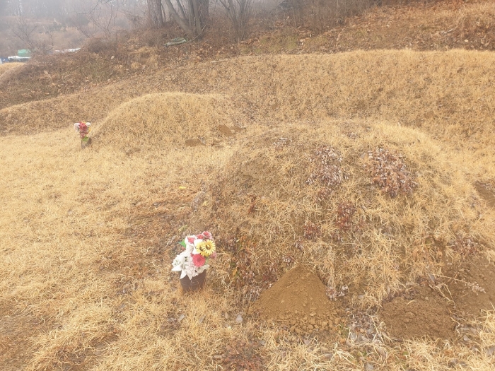 2023타경500[8]