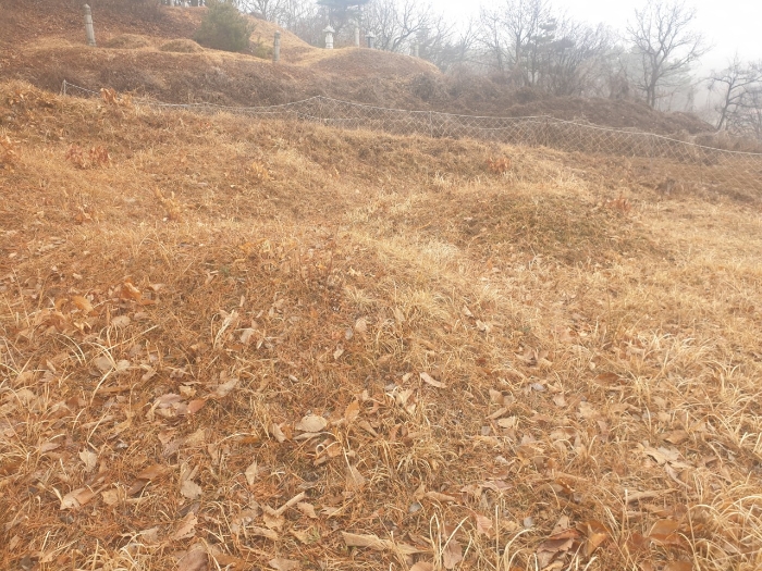 2023타경500[8]