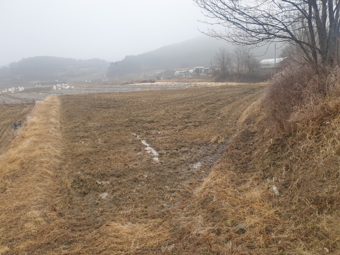 2023타경500[8]