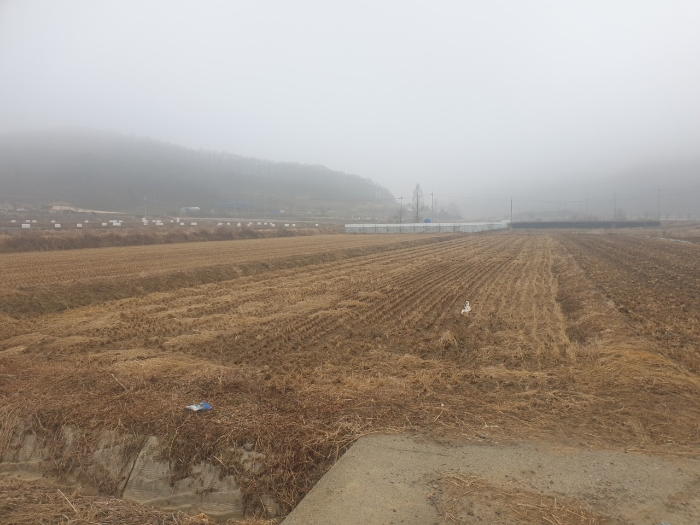 2023타경500[8]