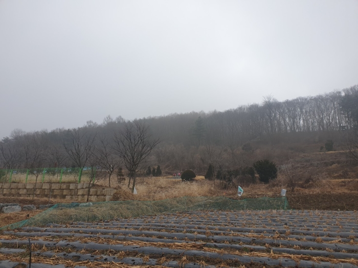 2023타경500[8]