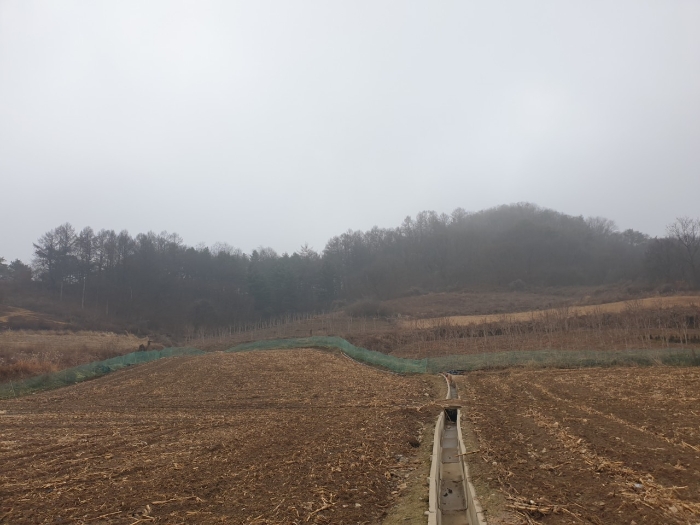 2023타경500[8]