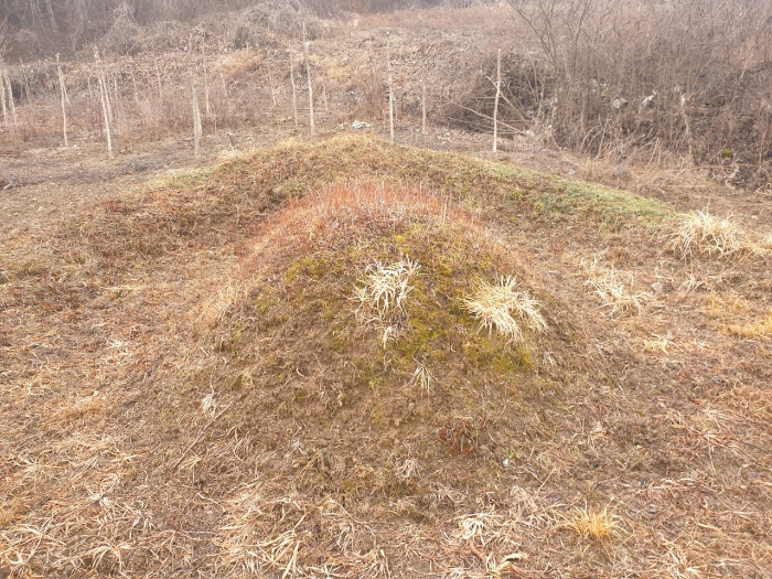 2023타경500[8]