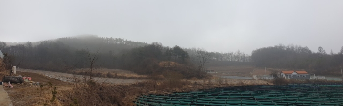 2023타경500[8]