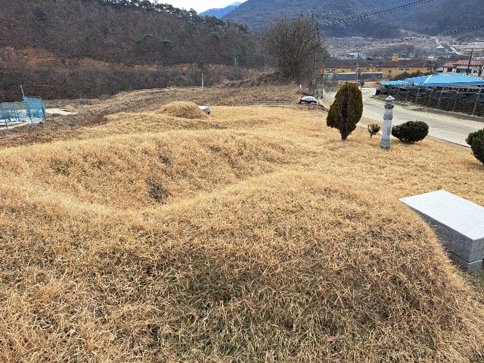 대상물건 전경(분묘2기, 전)