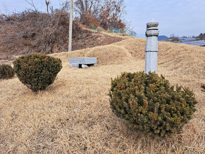 대상물건 지상의 분묘1