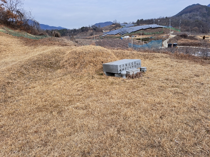 대상물건 지상의 분묘2