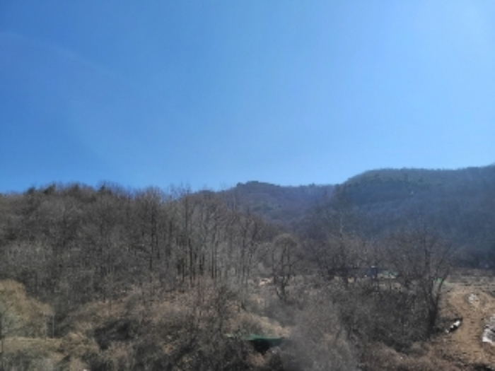 본건