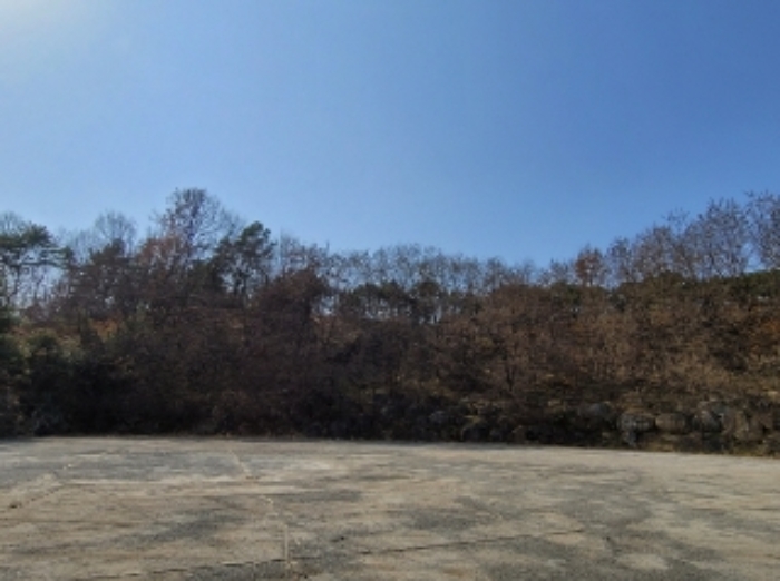 본건1