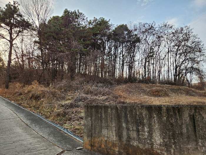 본건 기호(2) 전경