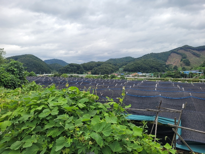 < 본건 기호 3 전경 >