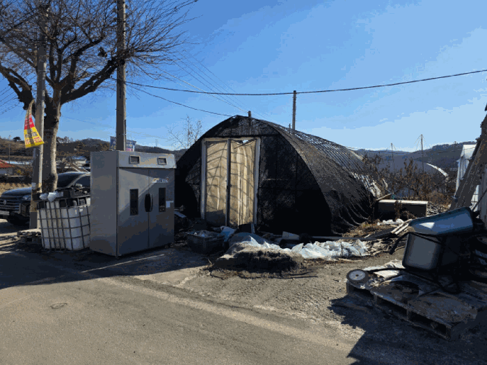 농업용 비닐하우스