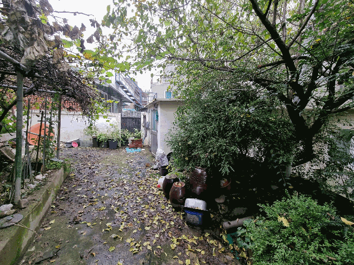 기호1 지상 주목나무 등
(토지 포함 평가)