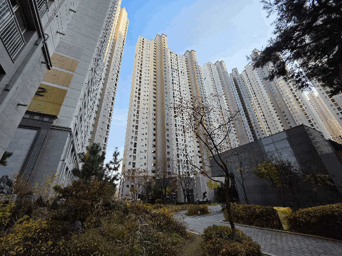 본건동 전경