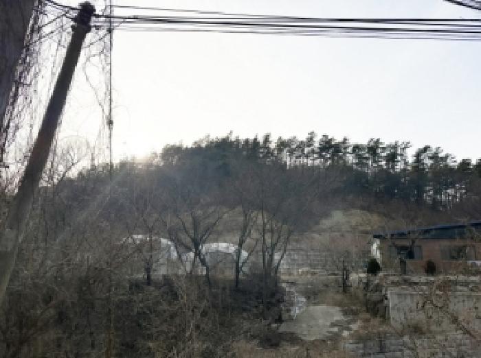 본건