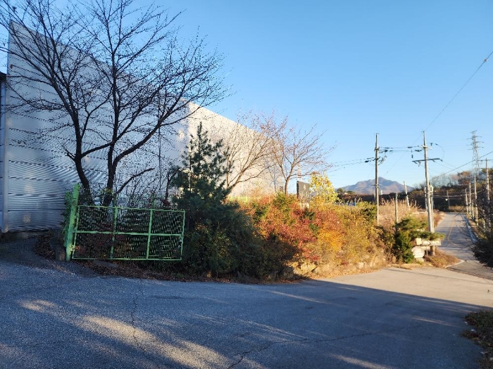 별지목록 4 제시외 수목 전경