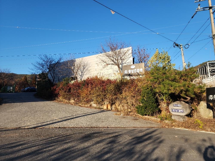 별지목록 4 제시외 수목 전경