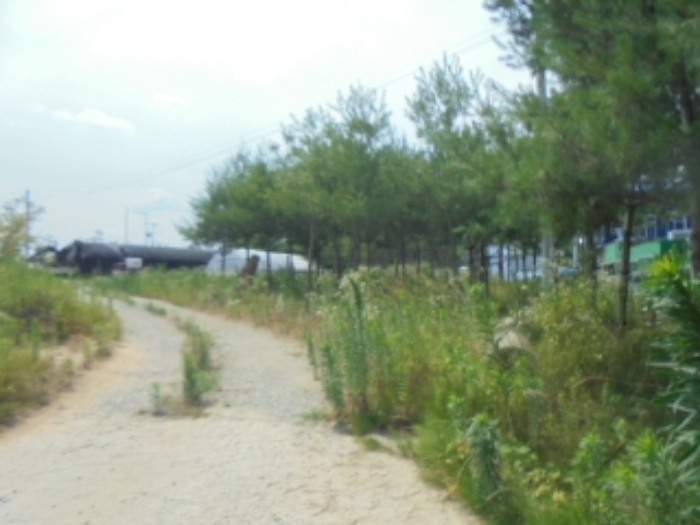 목적물 3번