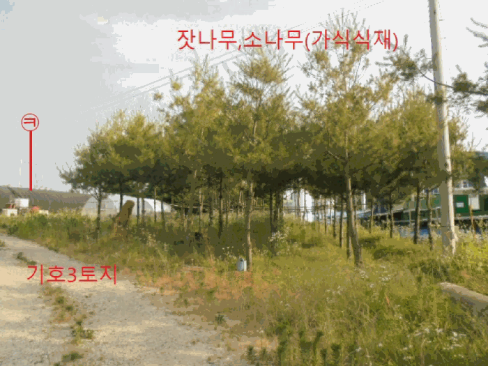 (기호3토지)