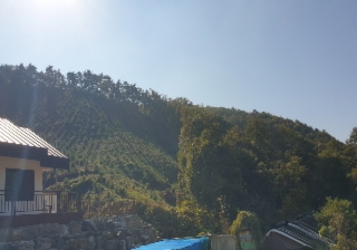 목적물 1~2번 전경