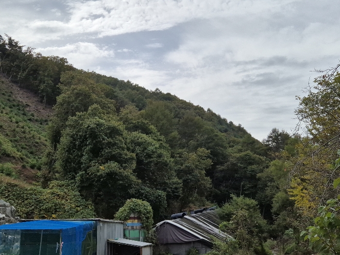 일련번호 2 전경