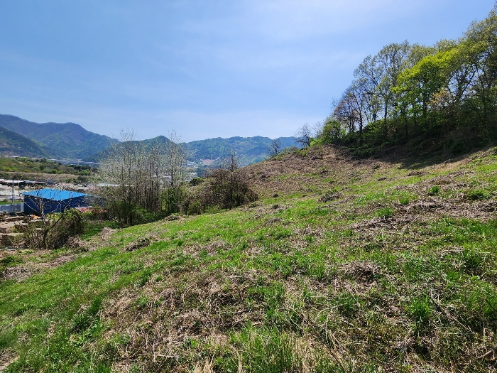 본건 전경(북측에서 촬영)