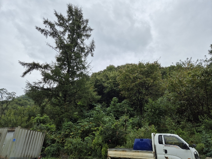 일련번호 3 전경