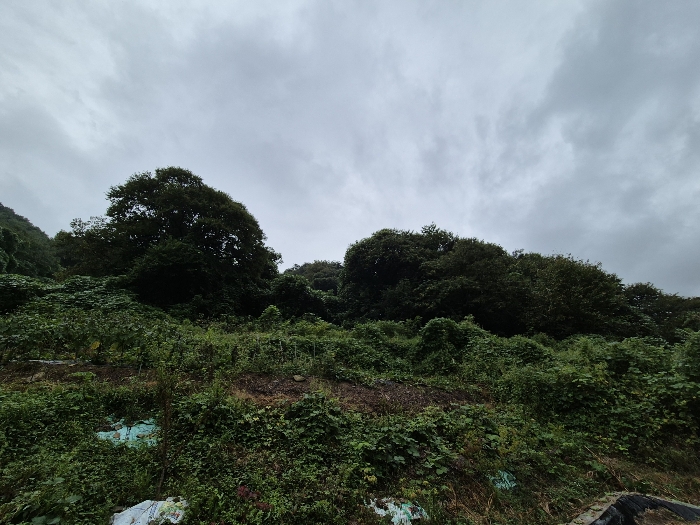 일련번호 3 전경