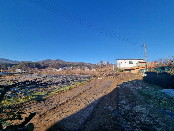 기호4,5 전경