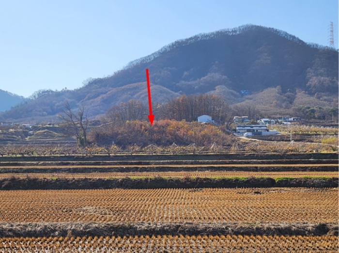 본건 원경