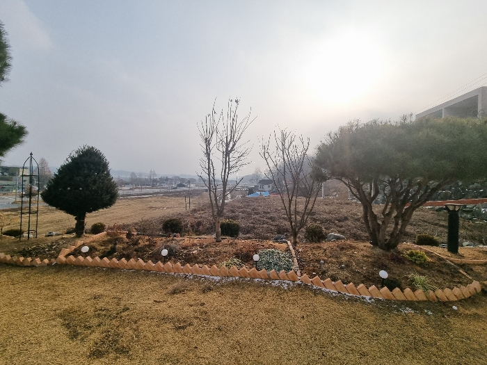 소나무 등 조경수
(타인소유로 평가 제외)