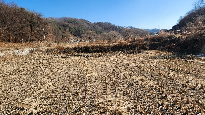 기호 3 서측에서 촬영한 전경