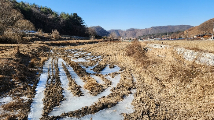 기호 6 동측에서 촬영한 전경