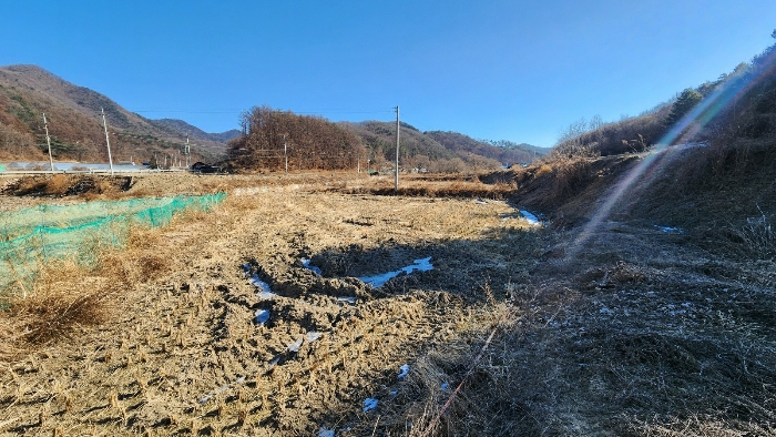 기호 4 서측에서 촬영한 전경