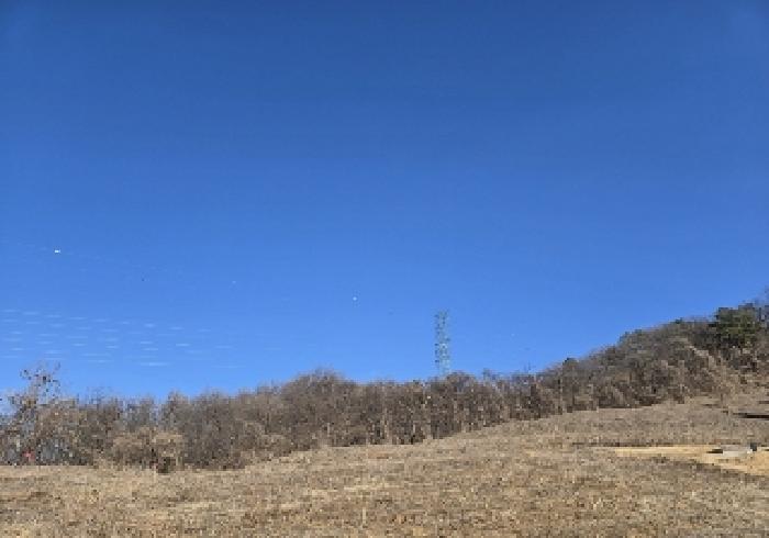 목적물
