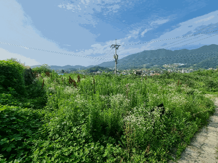 본건 전경