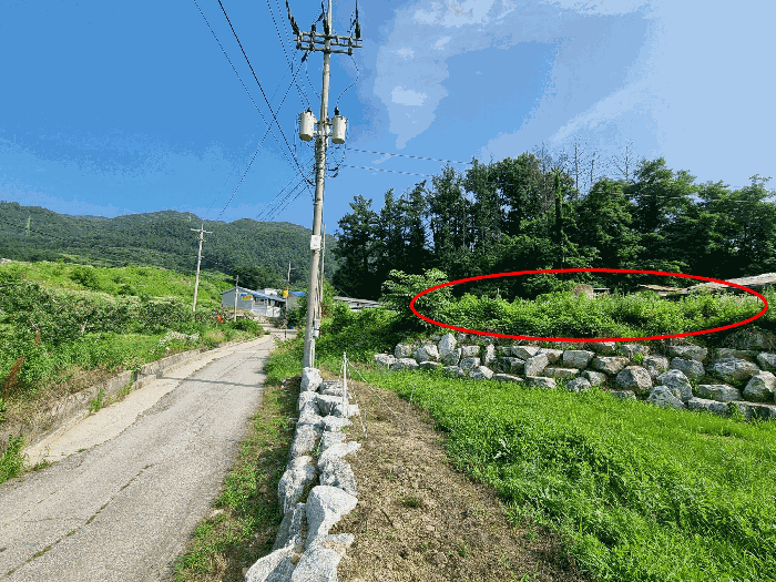 본건 주변 전경