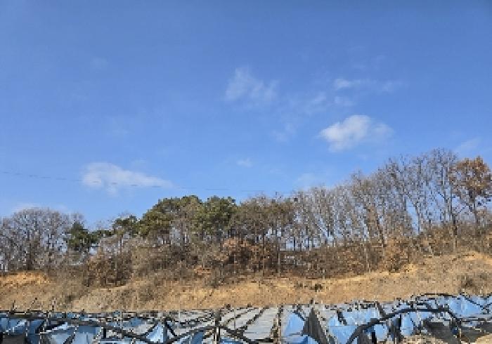 목적물 4번