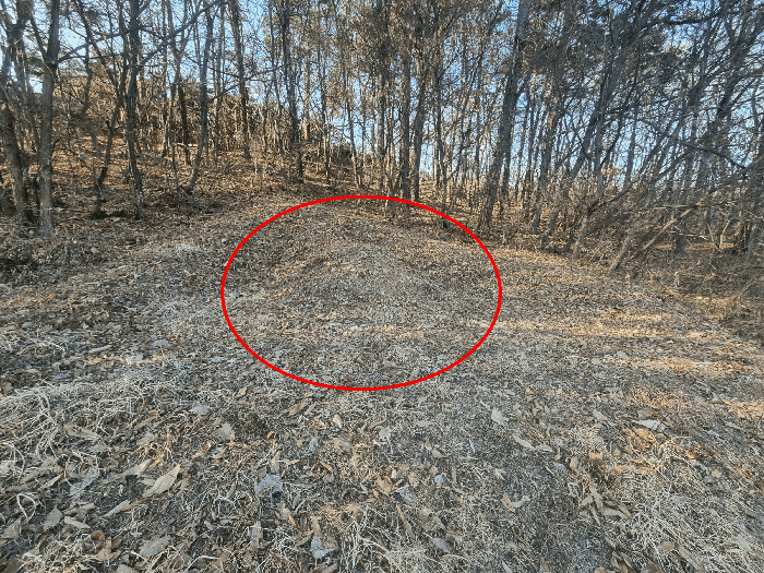 기호4 지상 소유자 미상 분묘1기