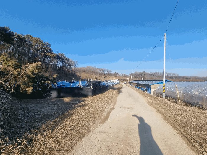 기호4 인근 도로 전경