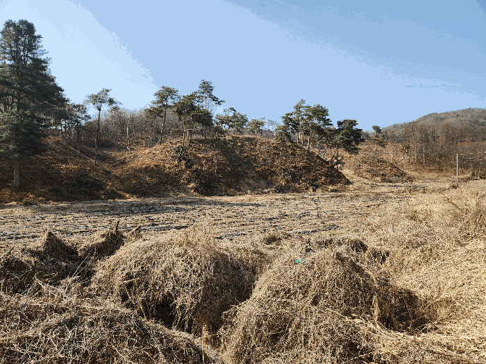 본건 기호(1) 전경