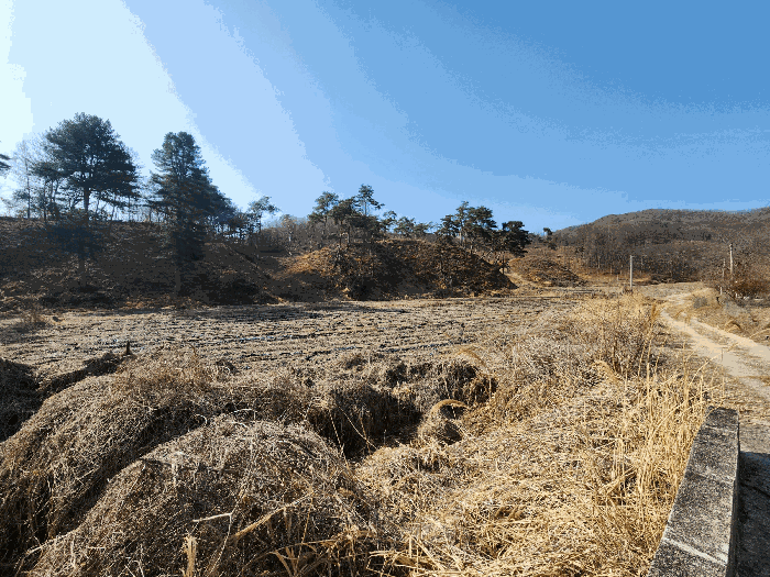 본건 기호(1) 전경