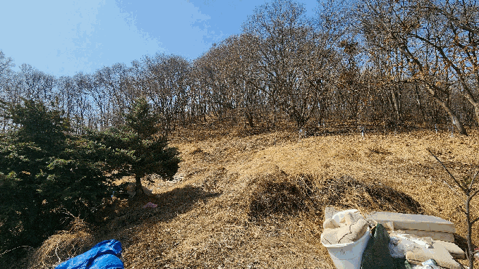 기호 2 전경