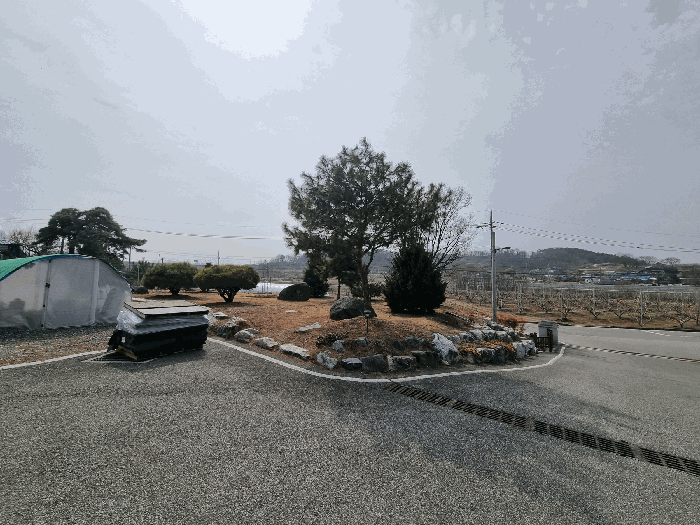 기호1 지상 제시외 수목(소나무 등)