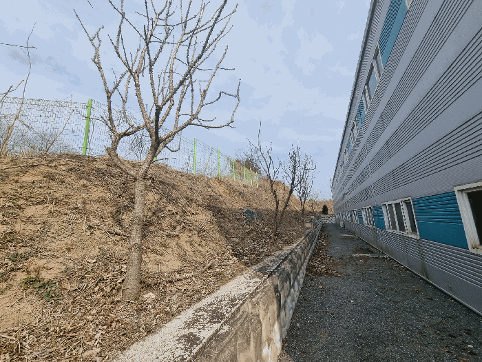 기호1 지상 제시외 수목(엄나무 등)