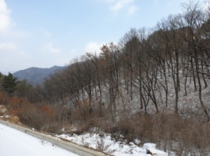 목록 5