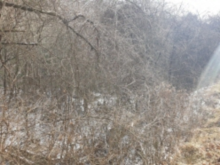 목록 26